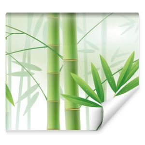 Horizontal background with green bamboo stems and leaves on white