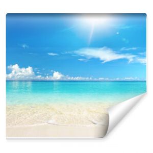 Beautiful sandy beach with white sand and rolling calm wave of turquoise ocean on Sunny day on background white clouds in blue sky. Island in Maldives, colorful perfect panoramic natural landscape.