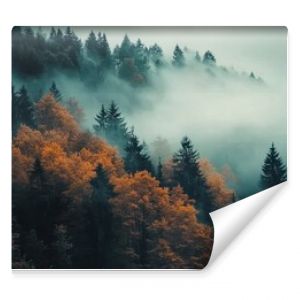 Tranquil scene with a lot of fog and a forest in autumn colors