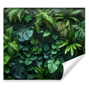 Dark green plants growing in a lush foliage background of tropical leaves like anthurium, epiphytes, or ferns, forming a beautiful green plant wall design in a cloud forest.