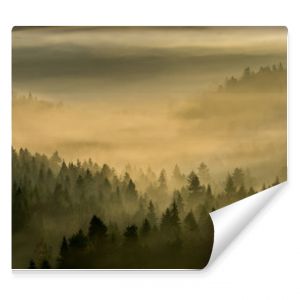 Jesienne mgły w Beskidzie Sądeckimmałopolskim