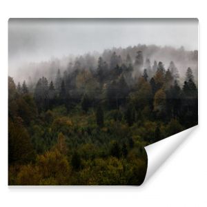 Jesienny las we mgle Bieszczady Polska