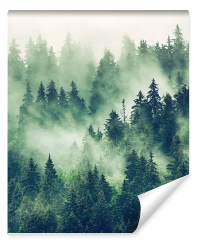 Misty mountain landscape