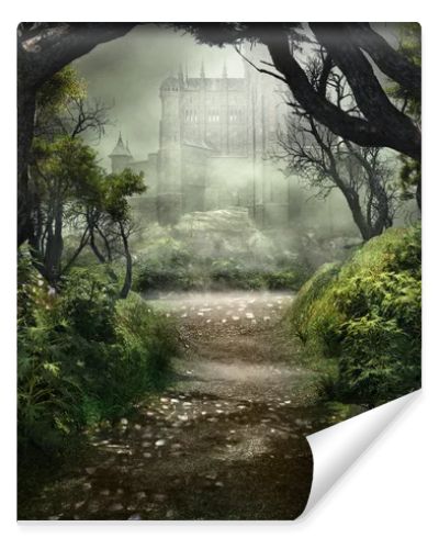Passage to mysterious castle