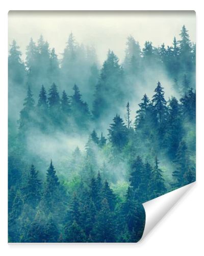 Misty mountain landscape