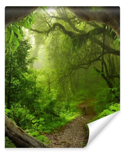 Southeast Asian tropical jungle