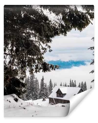 scenic view of pine trees covered with snow near mountain wooden house