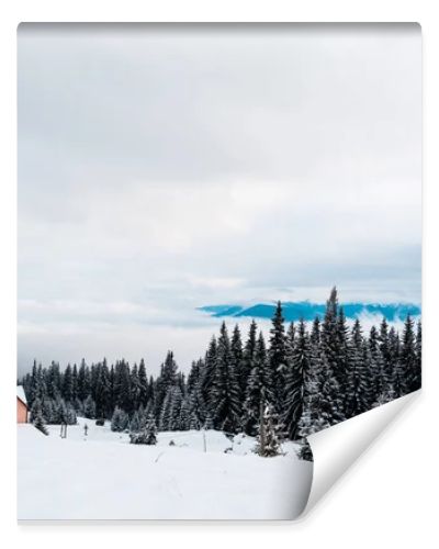 scenic view of wooden house in snowy mountains with pine trees and white fluffy clouds