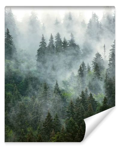 Misty mountain landscape