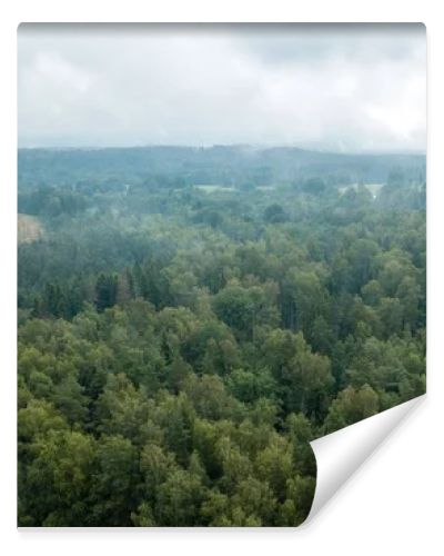 drone image. aerial view of rural area with fields and forests. textured background. sunny autumn day in latvia