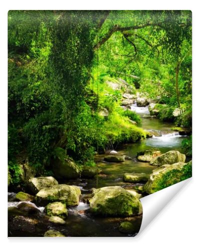 Stream
