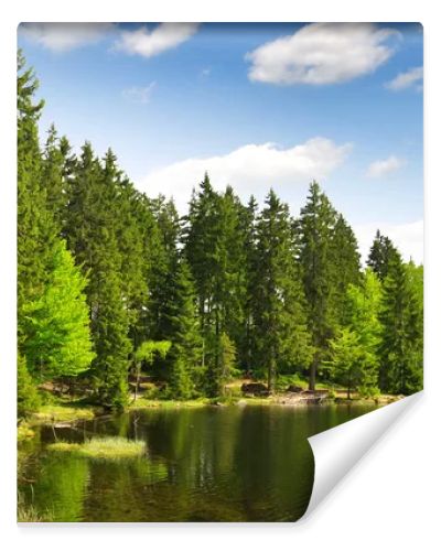 Small Arber Lake - Germany