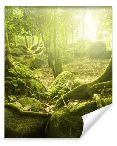 Green forest