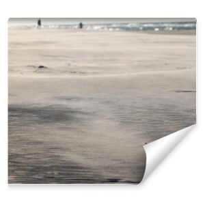 Wydmy na piaszczystej plaży nad morzem Piach