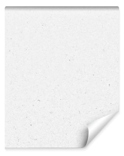 White Paper Texture