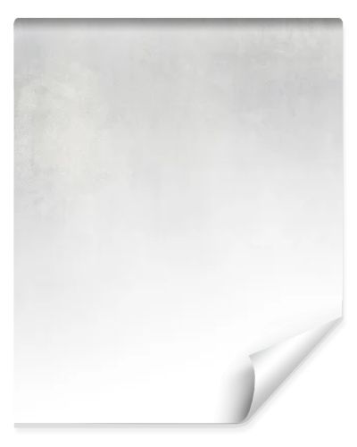 Light gray background texture