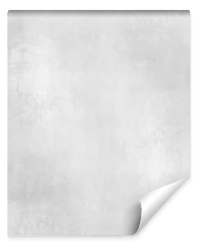 Abstract background grey - grunge paper texture