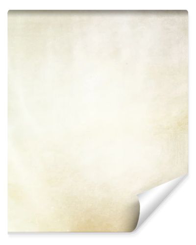 light gold background paper or white background of vintage grung