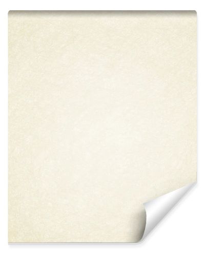 Abstract pale background