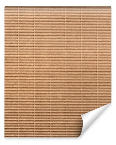 cardboard