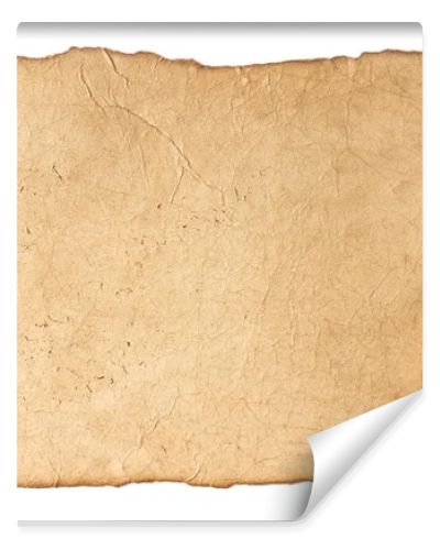 blank paper texture