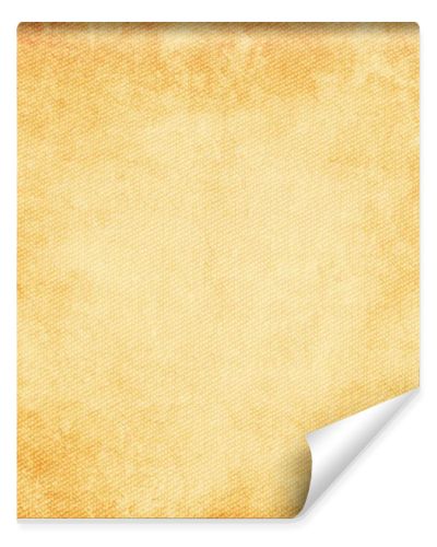 Abstract background, paper texture 