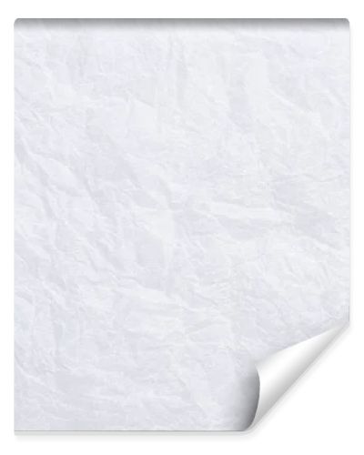 Paper texture. Crumpled sheet of white paper