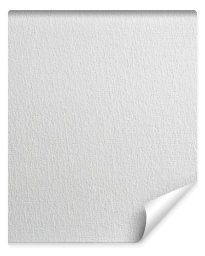 White color texture pattern abstract background, copy space for text