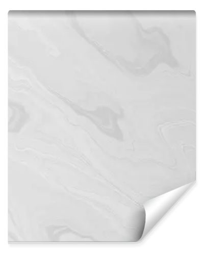 abstract gray and white color background. monochrome texture. vector.