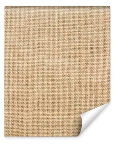 Burlap texture