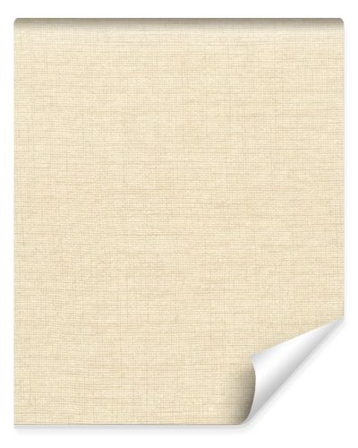 Fabric texture