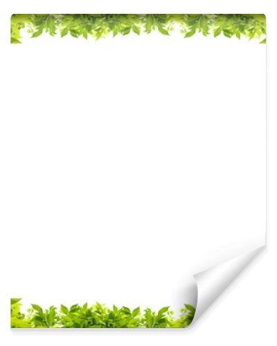 leaves frame isolated on white background