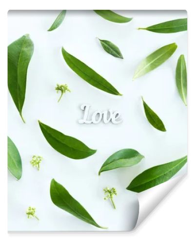 Green leaves and love symbol