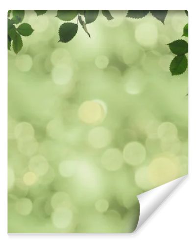 green foliage and bokeh