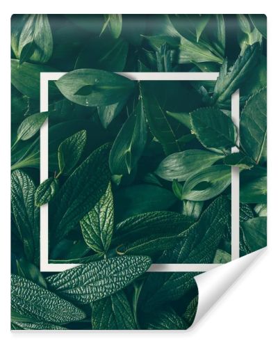 green leaves with paper card border 