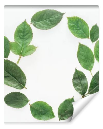 top view of circular composition with green leaves isolated on white