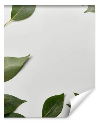 green fresh leaves scattered on white background with copy space