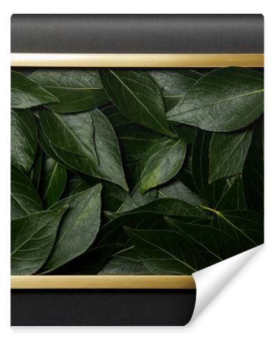top view of golden frame with green leaves inside on black background