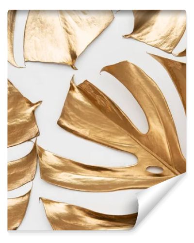 Artistic arrangement of real monstera leaves painted with gold paint on white background. Creative tropical pattern. Luxury summer concept.