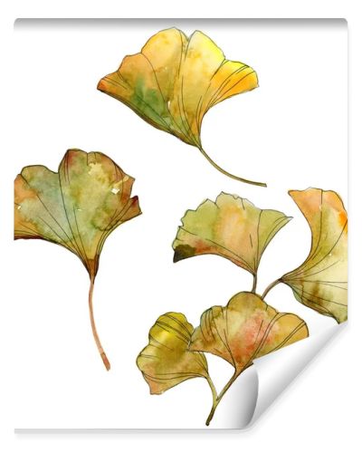 Yellow and green ginkgo biloba isolated leaves. Watercolor background illustration set. 