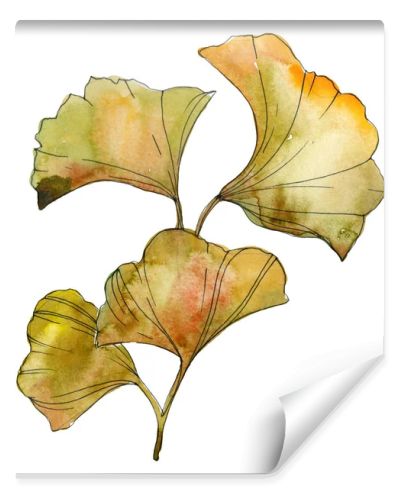 Yellow and green ginkgo biloba isolated leaves. Watercolor background illustration set. 