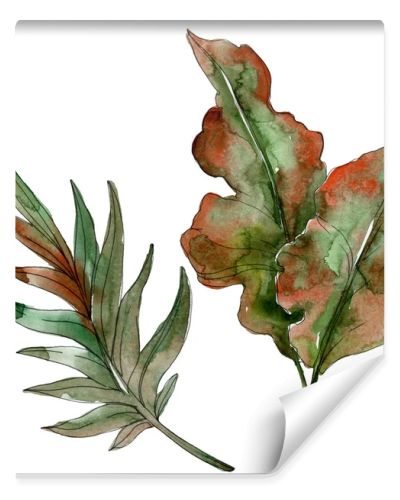 Exotic tropical green palm leaves. Watercolor illustration set. 