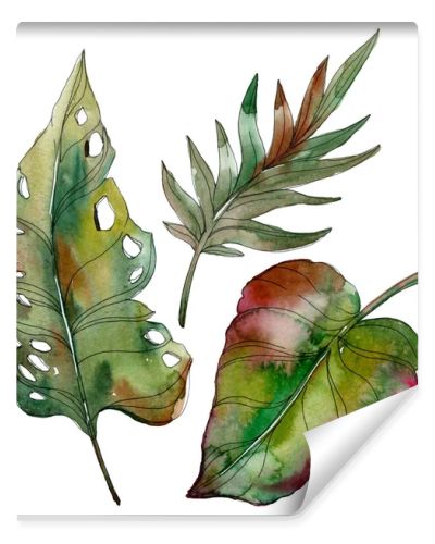 Exotic tropical isolated green palm leaves. Watercolor illustration set. 