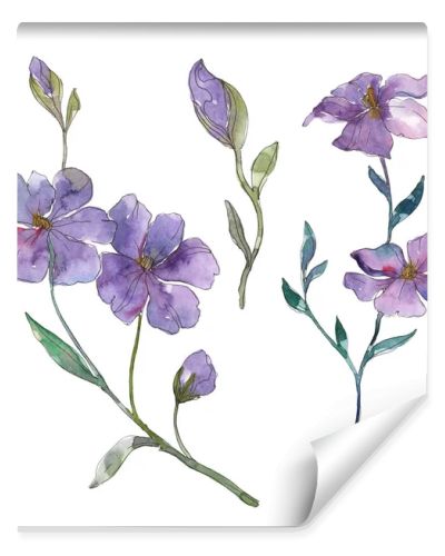 Blue and purple flax floral botanical flower. Wild spring leaf wildflower isolated. Watercolor background illustration set. Watercolour drawing fashion aquarelle. Isolated flax illustration element.