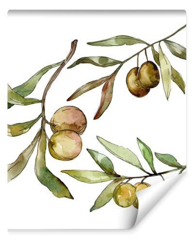 Green olives watercolor background illustration set. Watercolour drawing fashion aquarelle isolated. Isolated olives illustration element.