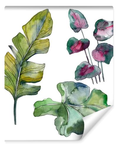 Green leaf plant botanical garden floral foliage. Exotic tropical hawaiian summer. Watercolor background illustration set. Watercolour drawing fashion aquarelle. Isolated leaf illustration element.