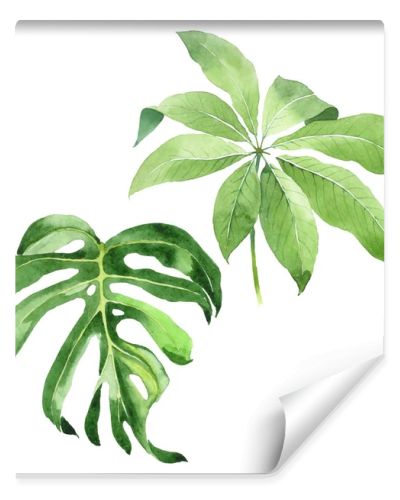 Exotic tropical hawaiian green palm leaves isolated on white. Watercolor background set. 