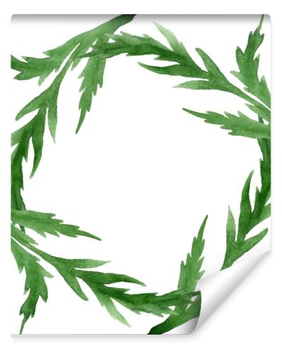 Green poppy leaves isolated on white. Watercolor background illustration set. Frame ornament with copy space.