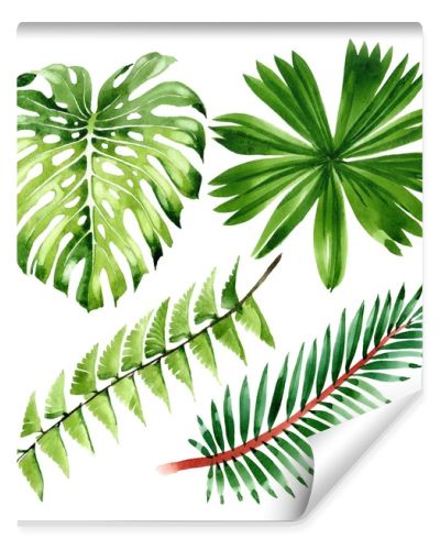 Palm beach tree leaves jungle botanical. Watercolor background illustration set. Isolated leaf illustration element.