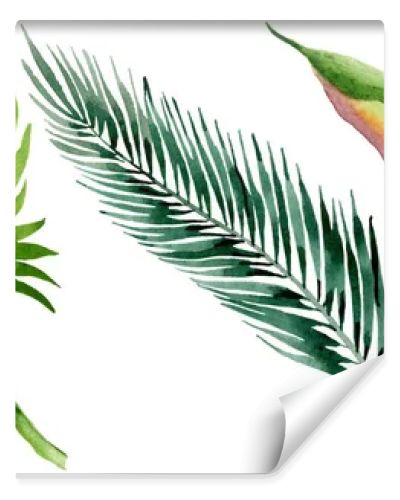 Palm beach tree leaves jungle botanical. Watercolor background illustration set. Isolated leaves illustration element.